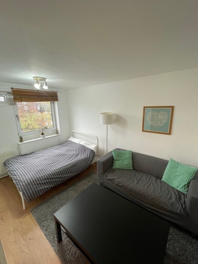 Large Double Room in Blackheath SE13  Main Photo