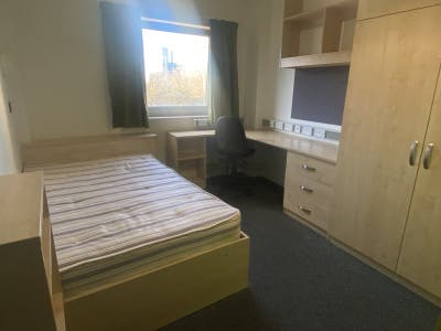Mary Sturge (On-Campus) | Discounted &pound;165pw | Flex Main Photo