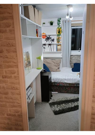 Nice single room available  Main Photo