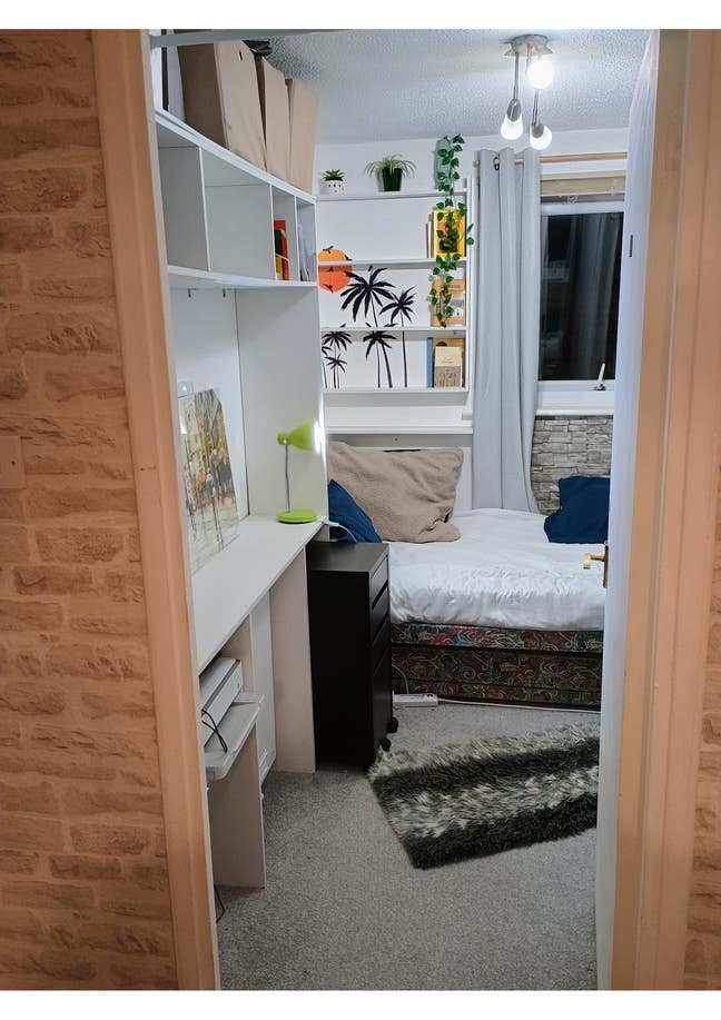 Nice single room available  Main Photo
