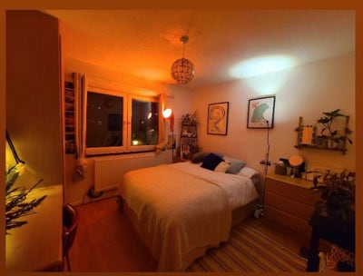 Room in friendly house of five: Dalston Main Photo