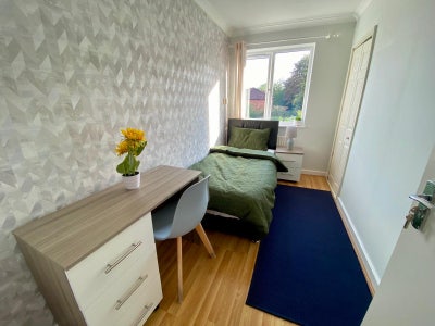 Single Room  Main Photo