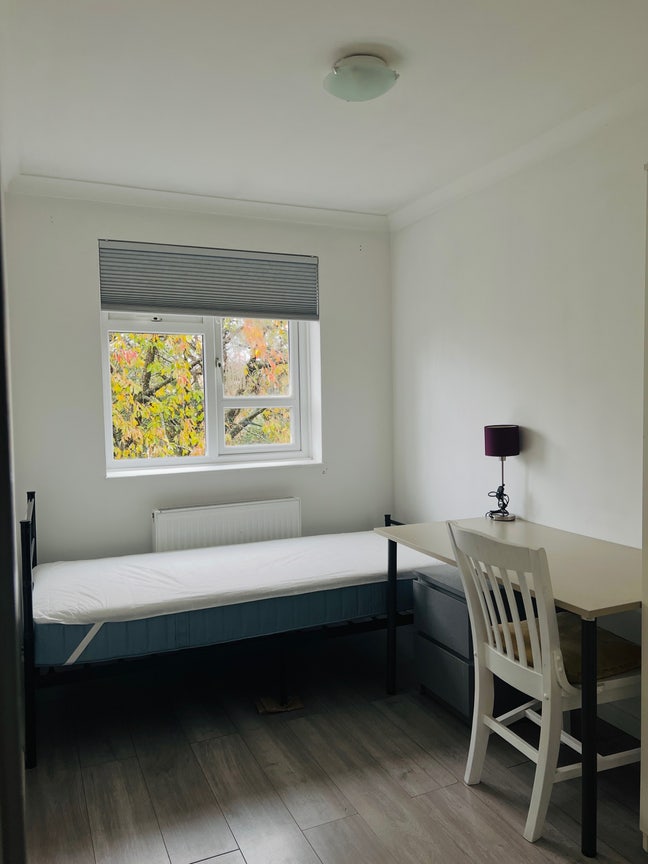 Room in a friendly and quiet household  Main Photo