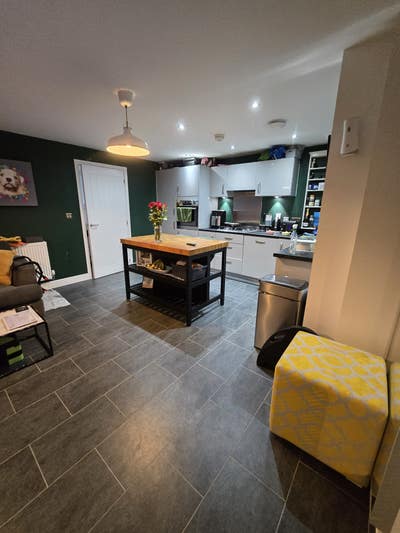 BIG room, own bathroom and puppy to play with! Main Photo