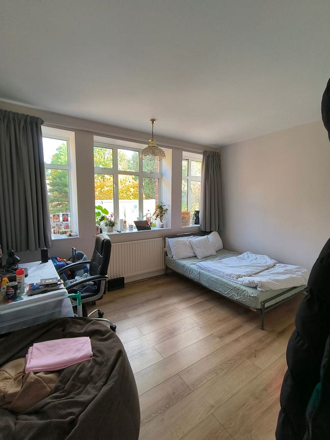 Spacious Double Room in Surbiton Main Photo