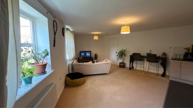 Room available  Main Photo