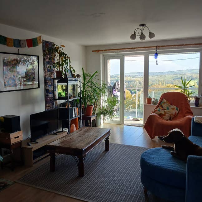 Beautiful, sunny room in peaceful Long Ashton! Main Photo