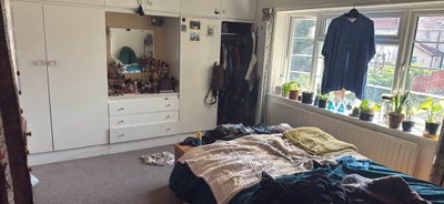 Spacious Room in Sidcup Main Photo