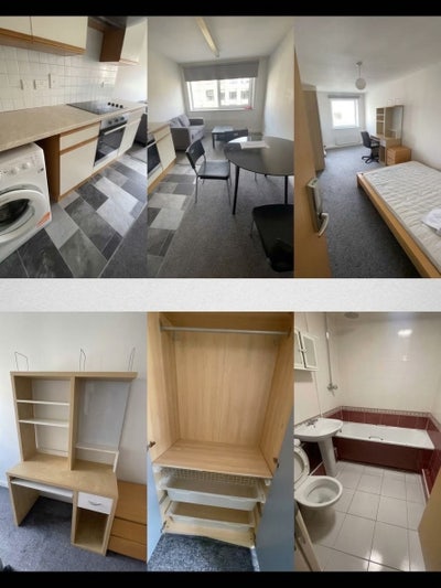 Room Available - 2027 Move In  Main Photo