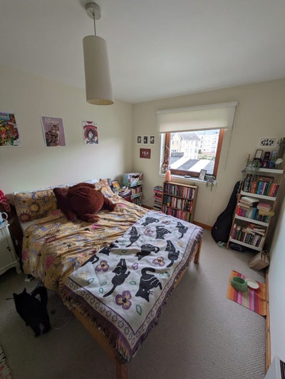 Double room in friendly 2 bed flat Main Photo