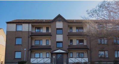 Looking for Flatmate for a female student! Main Photo