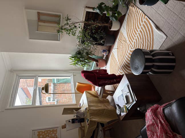 Pretty, cozy room in Clarendon Park Main Photo