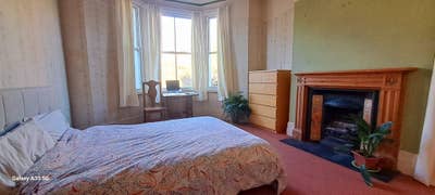 Large attractive room in Victorian home  Main Photo