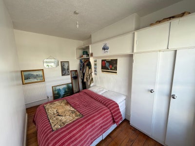Room available in friendly home w/ garden! Main Photo