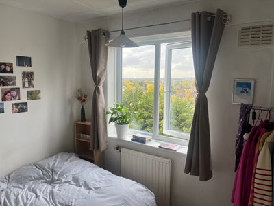 Bright East Finchley/Highgate Double Room Main Photo