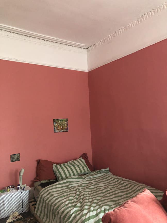 🌸 Cozy West End room for winter sublet Main Photo