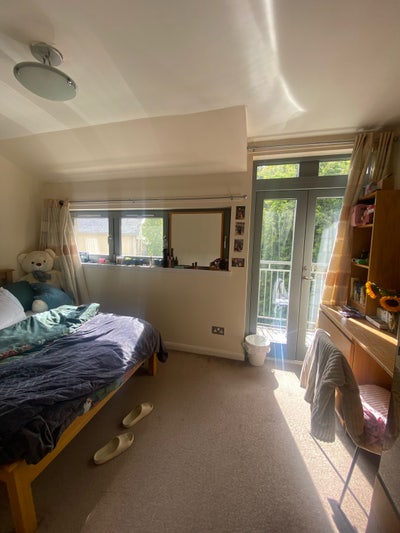 Flatmate replacement Main Photo