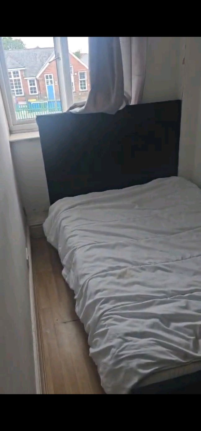 Room Available in a 2  bedroom house Main Photo