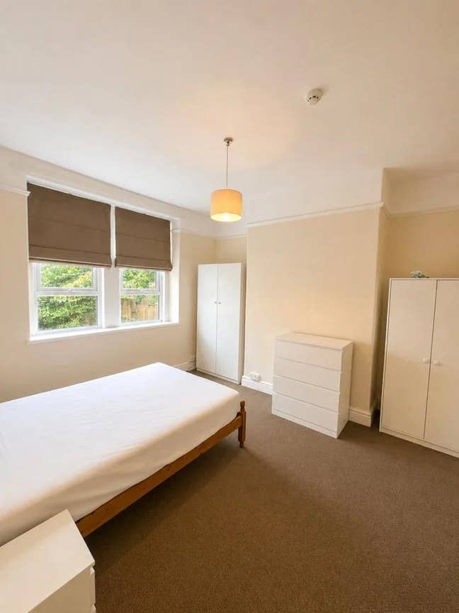 Bright and spacious garden flat Main Photo