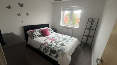 Double room Main Photo