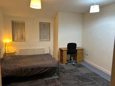 Large En-suite Double Room in shared  House Main Photo
