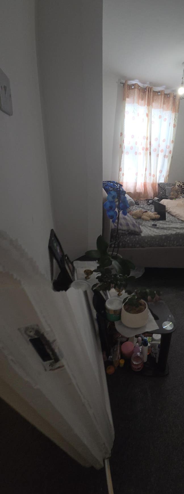 Big double room for rent  Main Photo