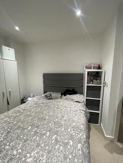 Double room + own bathroom, gym, by station Main Photo