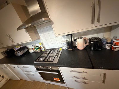 Single room available near ARU Main Photo