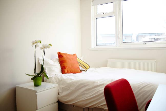 Lovely room at North Kensington/Portobello W10 Main Photo