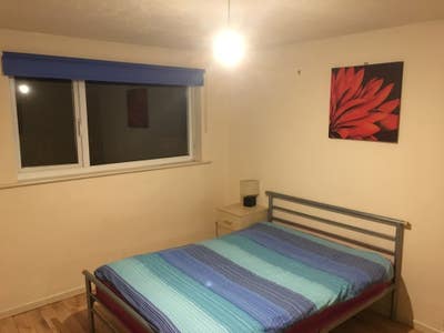 Beautiful Massive  Double Rm- Free Parking  Main Photo