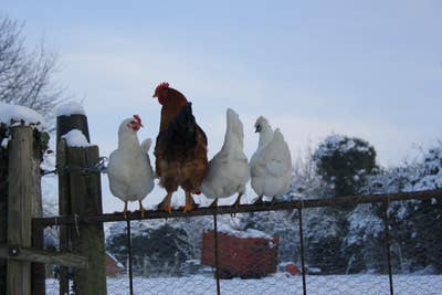 Period Family Home Main Photo