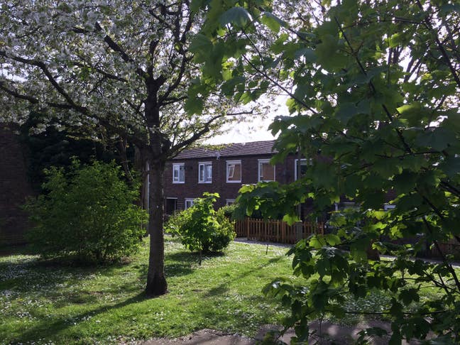 A clean, spacious, homely  house at Putney Main Photo