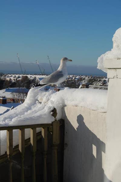 Large spacious attic room with stunning sea views. Main Photo