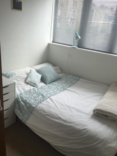 Double room in a very friendly house share  Main Photo