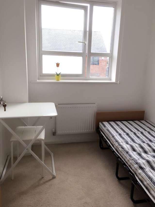 Single Room Available  Main Photo