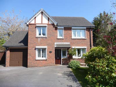 One Double Room Available Main Photo