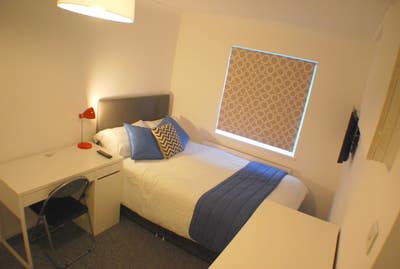 *NO FEES* Ensuite Large Dbl RM - Central Location Main Photo