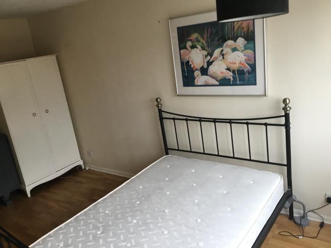 Room to let  Main Photo