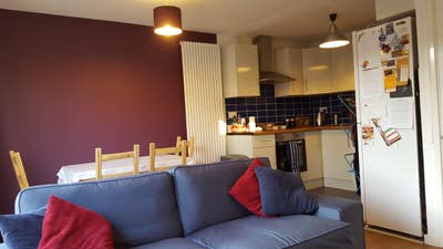 Double Rm in Great Flatshare with Livingroom N7 Main Photo