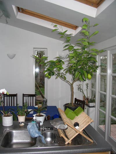 Beautiful rooms in sunny welcoming home Main Photo