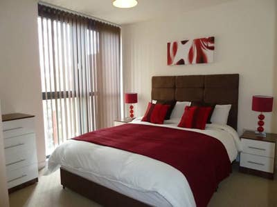 Spacious Professional House Share Main Photo