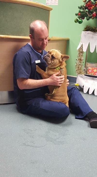 Room needed Near GOSH Main Photo