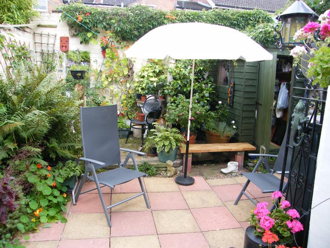 Room to Let ,Mon/Fri.  £550  ( Negotiable) Main Photo