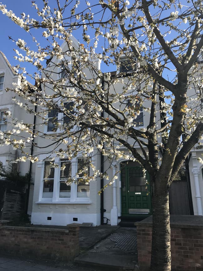  Balham  - Studio Flat  - Ritherdon Road  Main Photo