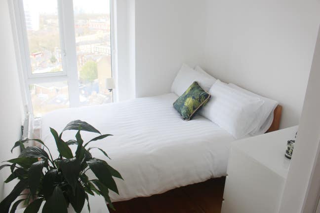 Double Room with amazing views in Hackney E9! Main Photo
