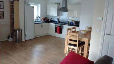 Double room in quiet flat, bills included. Main Photo