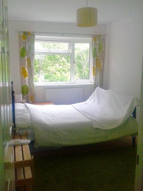 1 Double Bedroom in a three bedroom flat Main Photo