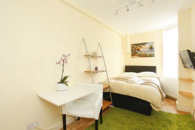 Lovely Room in South Hampstead Main Photo