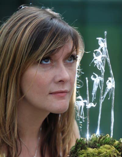 Ms Siobhan Healy seeking flatshare Main Photo