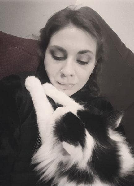 Looking for a Studio Flat to move in with a Cat Main Photo